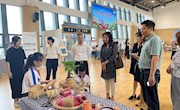 以“藤”会友   美无界线  ——记胥口中心小学参展于苏州市中小学美术学科融合课程展示研讨活动